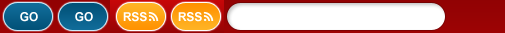 Primary Raster logo